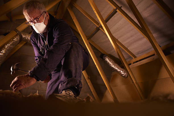Best Insulation Materials and Products in Fruitridge Pocket, CA