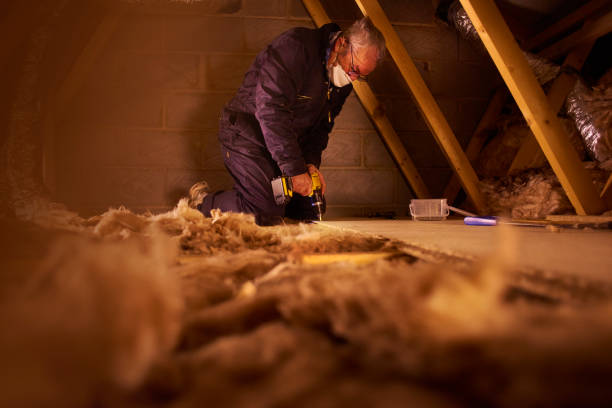 Best Specialty Insulation in Fruitridge Pocket, CA